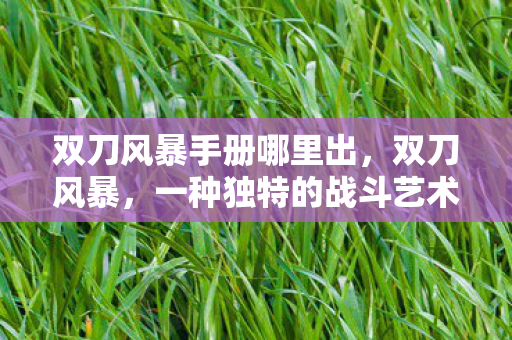 双刀风暴手册哪里出，双刀风暴，一种独特的战斗艺术