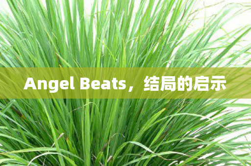 Angel Beats，结局的启示