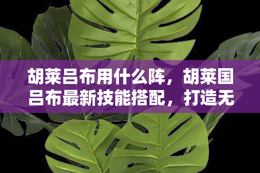 胡莱吕布用什么阵,胡莱国吕布最新技能搭配,打造无敌战神的秘诀 胡莱吕布用什么阵,胡莱国吕布最新技能搭配,打造无敌战神的秘诀