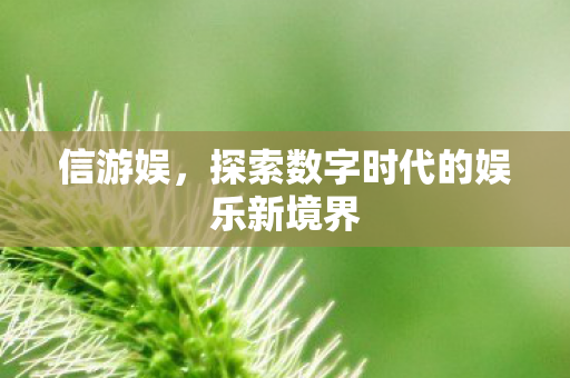 信游娱，探索数字时代的娱乐新境界