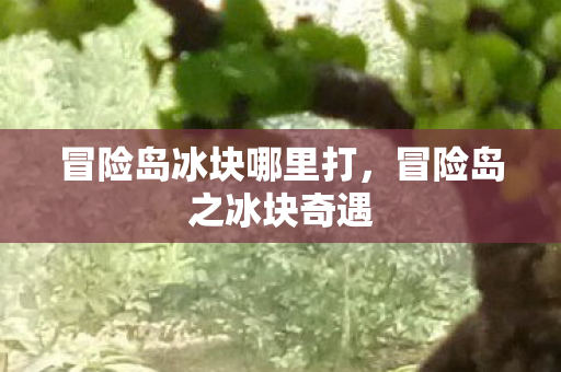 冒险岛冰块哪里打，冒险岛之冰块奇遇