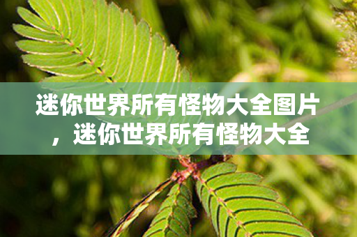 迷你世界所有怪物大全图片,迷你世界所有怪物大全 迷你世界所有怪物大全图片,迷你世界所有怪物大全