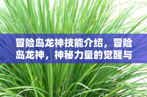 冒险岛龙神技能介绍，冒险岛龙神，神秘力量的觉醒与传承