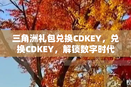 三角洲礼包兑换CDKEY，兑换CDKEY，解锁数字时代新体验