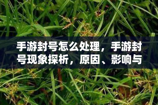 手游封号怎么处理,手游封号现象探析,原因、影响与应对策略 手游封号怎么处理,手游封号现象探析,原因、影响与应对策略