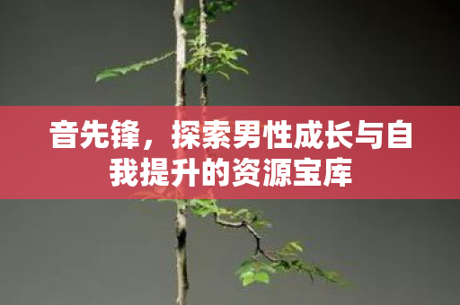 音先锋，探索男性成长与自我提升的资源宝库