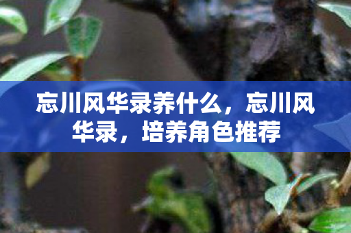 忘川风华录养什么,忘川风华录,培养角色推荐 忘川风华录养什么,忘川风华录,培养角色推荐