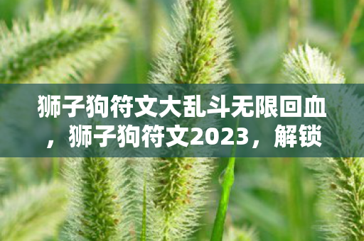 狮子狗符文大乱斗无限回血，狮子狗符文2023，解锁新技能，提升战斗力的必备指南