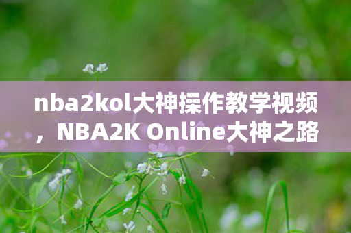 nba2kol大神操作教学视频，NBA2K Online大神之路，从新手到高手的进阶指南