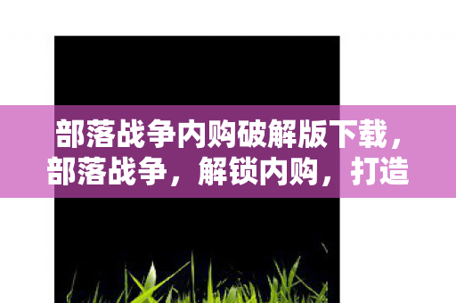 部落战争内购破解版下载,部落战争,解锁内购,打造你的专属部落 部落战争内购破解版下载,部落战争,解锁内购,打造你的专属部落