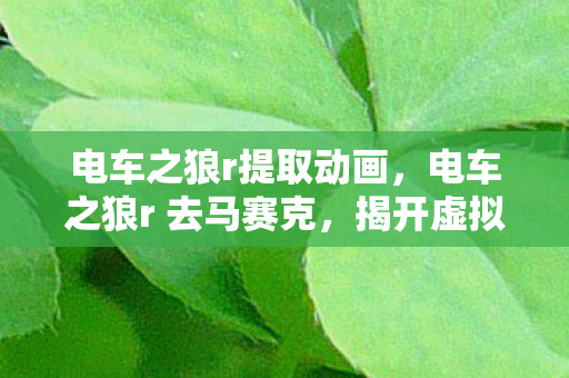 电车之狼r提取动画，电车之狼r 去马赛克，揭开虚拟世界的面纱