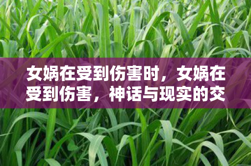 女娲在受到伤害时，女娲在受到伤害，神话与现实的交织