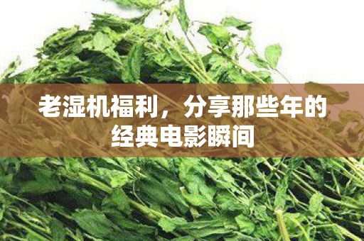 老湿机福利,分享那些年的经典电影瞬间 老湿机福利,分享那些年的经典电影瞬间