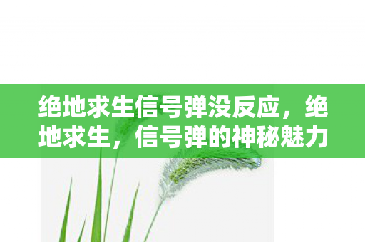 绝地求生信号弹没反应,绝地求生,信号弹的神秘魅力与战术运用 绝地求生信号弹没反应,绝地求生,信号弹的神秘魅力与战术运用