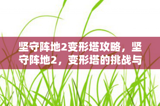 坚守阵地2变形塔攻略,坚守阵地2,变形塔的挑战与策略 坚守阵地2变形塔攻略,坚守阵地2,变形塔的挑战与策略