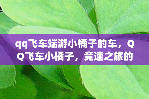 qq飞车端游小橘子的车,QQ飞车小橘子,竞速之旅的清新之风 qq飞车端游小橘子的车,QQ飞车小橘子,竞速之旅的清新之风