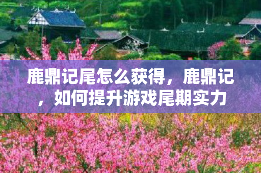 鹿鼎记尾怎么获得,鹿鼎记,如何提升游戏尾期实力 鹿鼎记尾怎么获得,鹿鼎记,如何提升游戏尾期实力