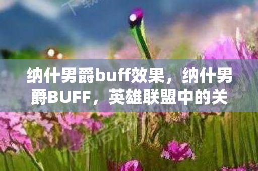 纳什男爵buff效果，纳什男爵BUFF，英雄联盟中的关键资源争夺
