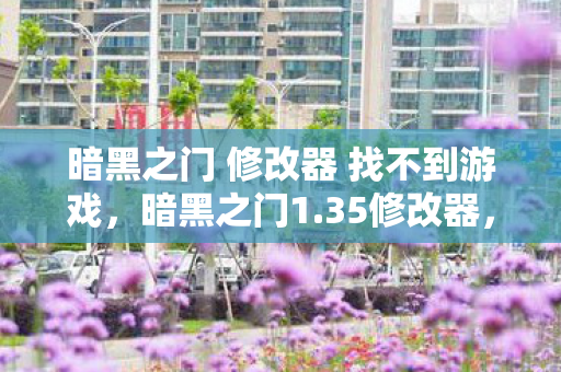 暗黑之门 修改器 找不到游戏，暗黑之门1.35修改器，解锁无限可能的冒险之旅