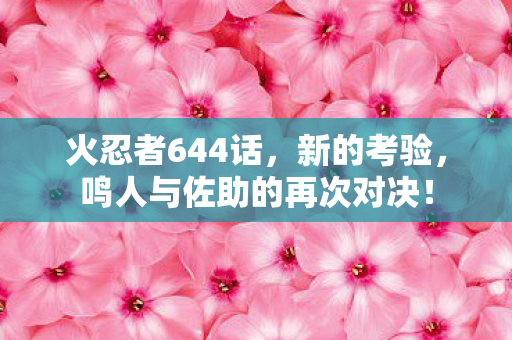 火忍者644话,新的考验,鸣人与佐助的再次对决! 火忍者644话,新的考验,鸣人与佐助的再次对决!