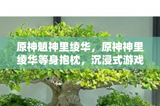 原神魈神里绫华,原神神里绫华等身抱枕,沉浸式游戏体验的新宠 原神魈神里绫华,原神神里绫华等身抱枕,沉浸式游戏体验的新宠