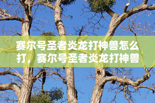 赛尔号圣者炎龙打神兽怎么打,赛尔号圣者炎龙打神兽,一场传奇的战斗 赛尔号圣者炎龙打神兽怎么打,赛尔号圣者炎龙打神兽,一场传奇的战斗