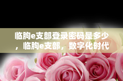 临朐e支部登录密码是多少图片