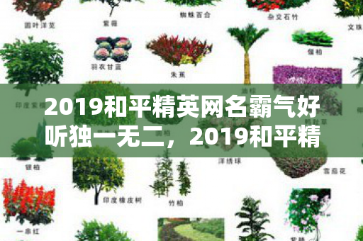 2019和平精英网名霸气好听独一无二，2019和平精英名字，霸气好听的名字推荐
