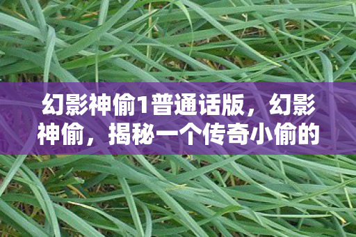 幻影神偷1普通话版，幻影神偷，揭秘一个传奇小偷的传奇故事