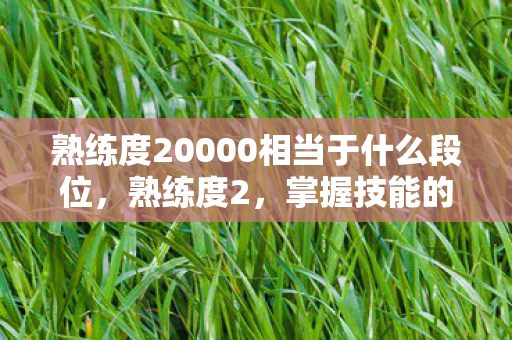 熟练度20000相当于什么段位，熟练度2，掌握技能的新起点