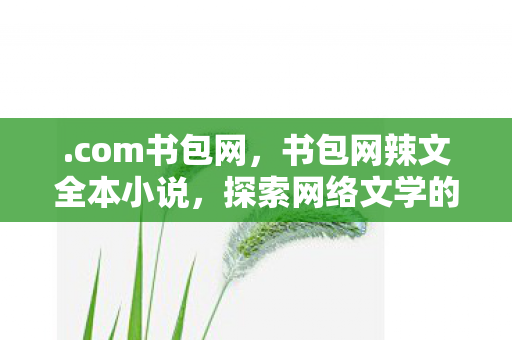 .com书包网，书包网辣文全本小说，探索网络文学的无限可能