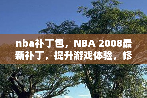 nba补丁包，NBA 2008最新补丁，提升游戏体验，修复常见问题