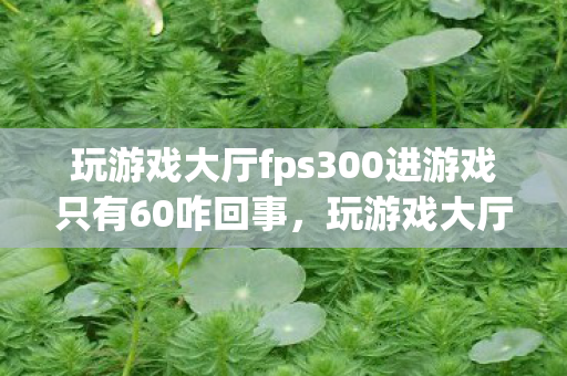 玩游戏大厅fps300进游戏只有60咋回事，玩游戏大厅，打造你的专属娱乐空间