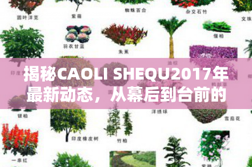 揭秘CAOLI SHEQU2017年最新动态，从幕后到台前的蜕变