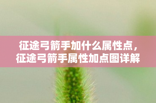 征途弓箭手加什么属性点,征途弓箭手属性加点图详解 征途弓箭手加什么属性点,征途弓箭手属性加点图详解
