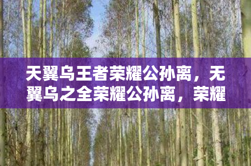 天翼乌王者荣耀公孙离，无翼乌之全荣耀公孙离，荣耀峡谷中的灵动舞者