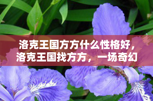 洛克王国方方什么性格好，洛克王国找方方，一场奇幻的冒险之旅