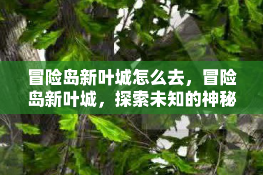 冒险岛新叶城怎么去，冒险岛新叶城，探索未知的神秘之地