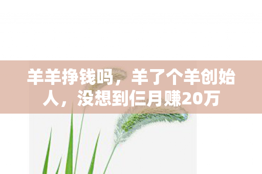 羊羊挣钱吗,羊了个羊创始人,没想到仨月赚20万 羊羊挣钱吗,羊了个羊创始人,没想到仨月赚20万