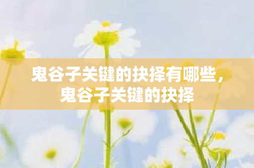 鬼谷子关键的抉择有哪些，鬼谷子关键的抉择