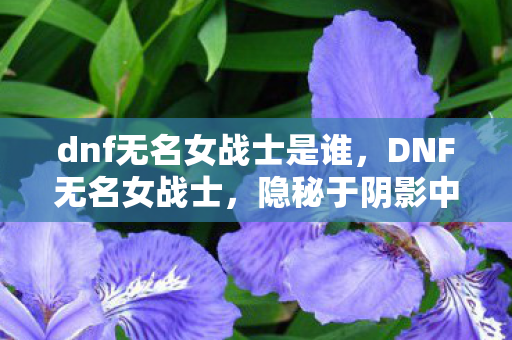 dnf无名女战士是谁,DNF无名女战士,隐秘于阴影中的守护者 dnf无名女战士是谁,DNF无名女战士,隐秘于阴影中的守护者