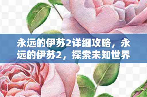 永远的伊苏2详细攻略，永远的伊苏2，探索未知世界的奇幻之旅