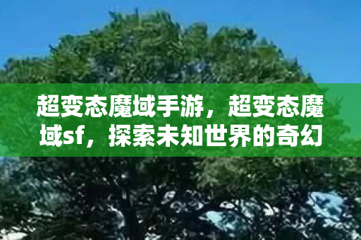 超变态魔域手游,超变态魔域sf,探索未知世界的奇幻之旅 超变态魔域手游,超变态魔域sf,探索未知世界的奇幻之旅