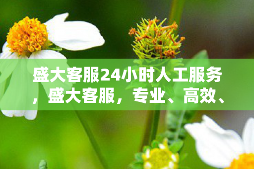盛大客服24小时人工服务，盛大客服，专业、高效、贴心的服务体验