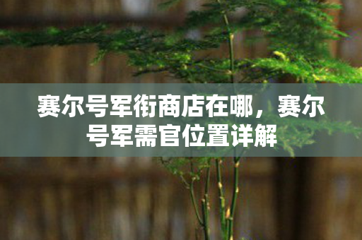 赛尔号军衔商店在哪，赛尔号军需官位置详解