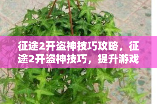 提升游戏乐趣的实用指南图片