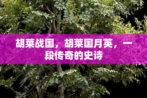 胡莱战国,胡莱国月英,一段传奇的史诗 胡莱战国,胡莱国月英,一段传奇的史诗