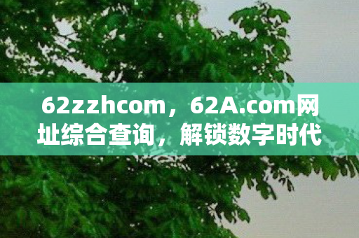 62zzhcom,62A.com网址综合查询,解锁数字时代的网络探索之旅 62zzhcom,62A.com网址综合查询,解锁数字时代的网络探索之旅