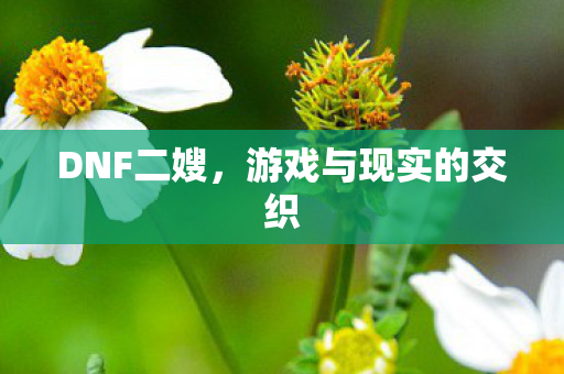 DNF二嫂,游戏与现实的交织 DNF二嫂,游戏与现实的交织