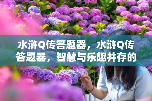 水浒Q传答题器,水浒Q传答题器,智慧与乐趣并存的冒险之旅 水浒Q传答题器,水浒Q传答题器,智慧与乐趣并存的冒险之旅